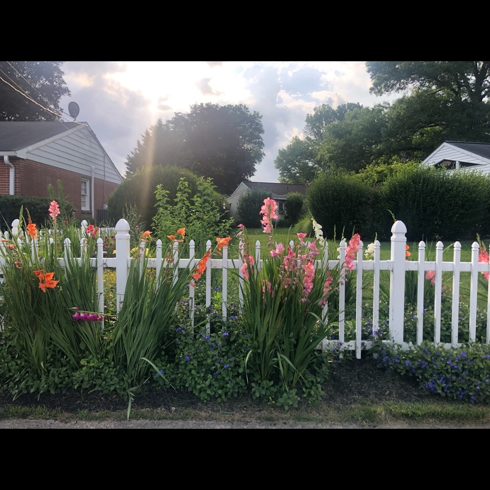 Meet your Posher, Cathy